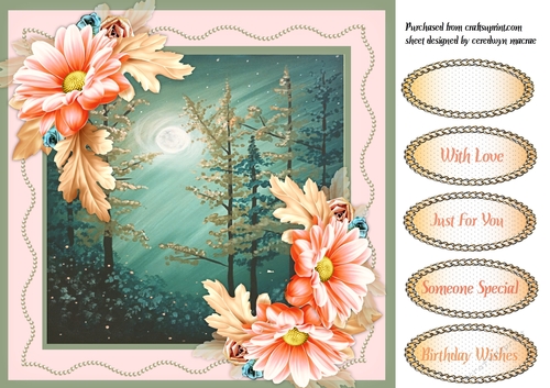 Beautiful Coral Flowers and Moonlight Scene 
