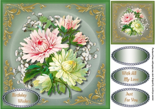 Beautiful Chrysanthemumns