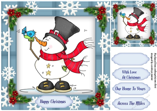 The Snowman and Blue Bird