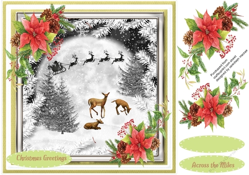 Reindeers in the Night Sky 