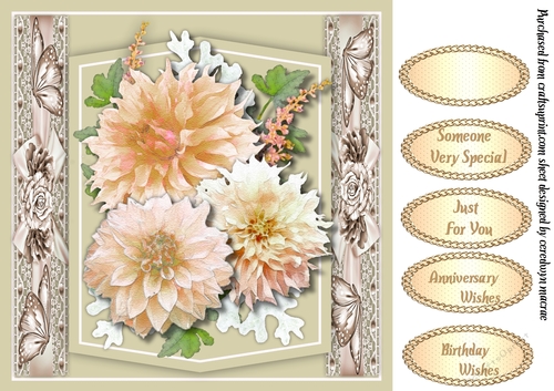 Beautiful Cream  Chrysanthemums 