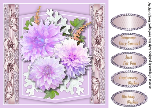 Beautiful Lilac Chrysanthemums 