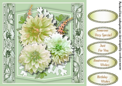 Beautiful Sage  Chrysanthemums 
