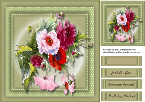 Beautiful Anemones on Polka Mat 