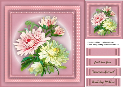 Beautiful Chrysanthemums on Polka Mat 