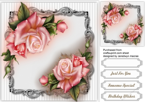Beautiful Pink Downton Roses 