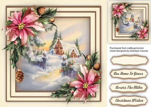 Christms Cottage With Poinsettias 