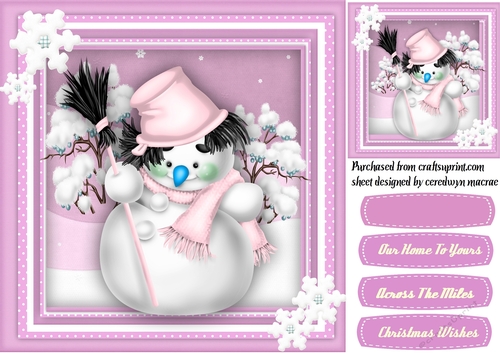 The Sweeping Snowman 