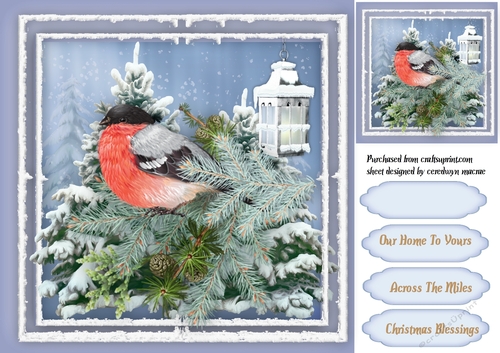 Lovely Christmas Bird 