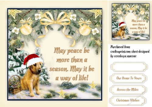 Peace and Goodwill To All