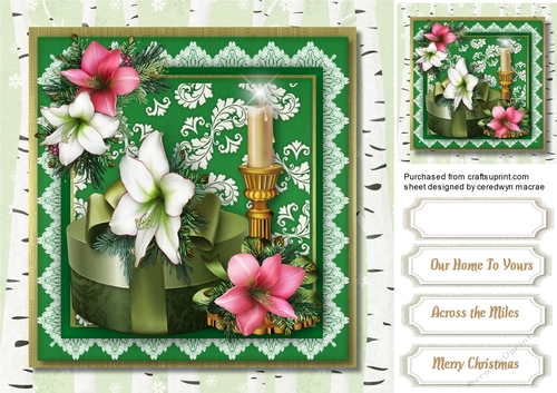 Beautiful Christmas Lillys 