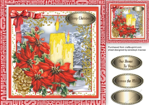 Beautiful poinsettias and Candle 