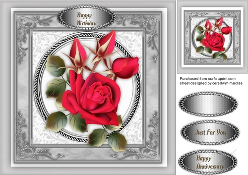 Beautiful Red roses For Love 