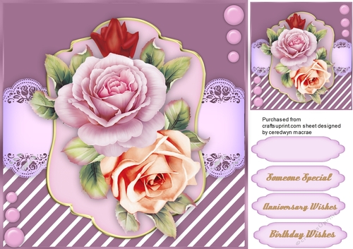 Beautiful Fragrant  Roses 