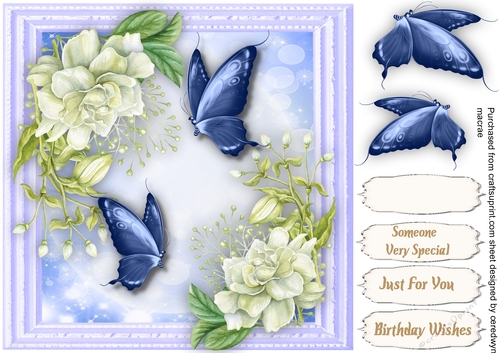 Blue Butterflys and White Roses 