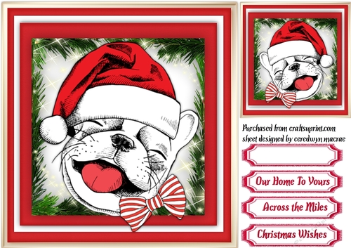 Christmas Bulldog Smile 