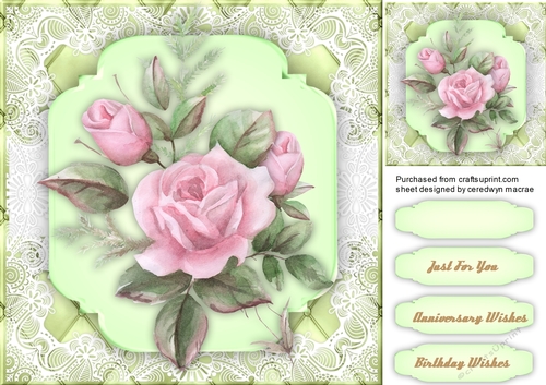 Beautiful Pink Roses on lace 