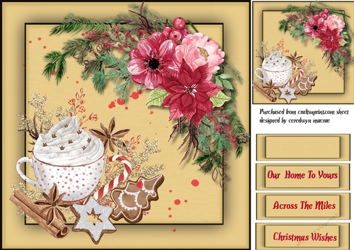 Hot Chocolate and Christmas Roses 