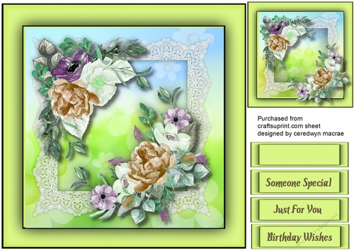 Beautiful Coffee and Cream Peonies  on lace 