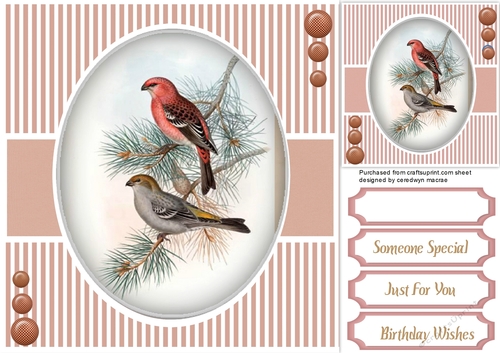 Beautiful Bird on a branch 1