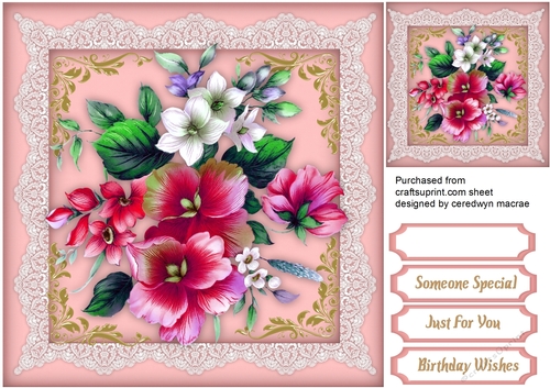 Beautiful Painted Pink Infussion 
