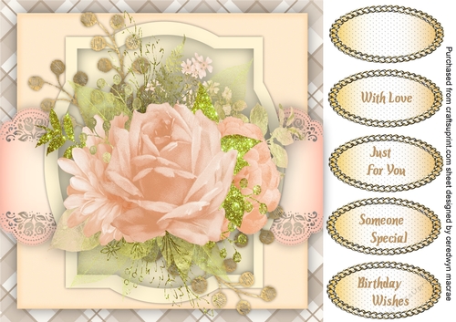 Beautiful Pale Pink Roses 