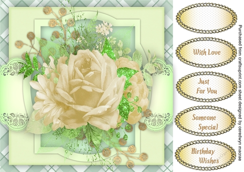 Beautiful Cream Roses 