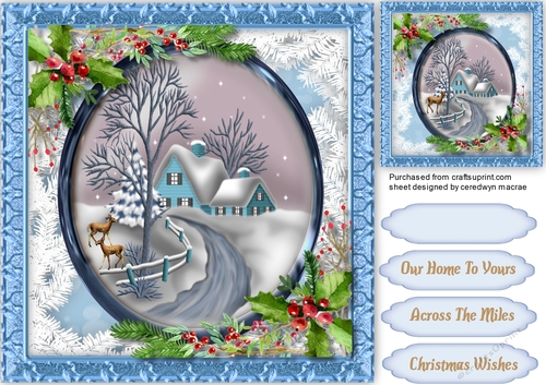 Beautiful Blue Christmas House 