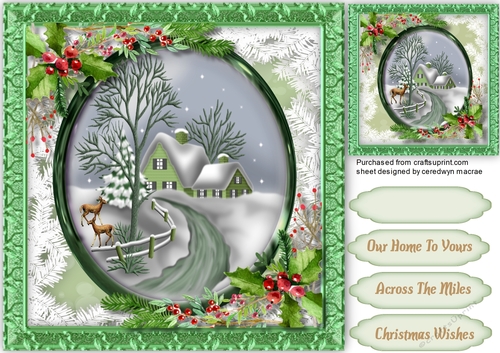 Beautiful Green  Christmas House 
