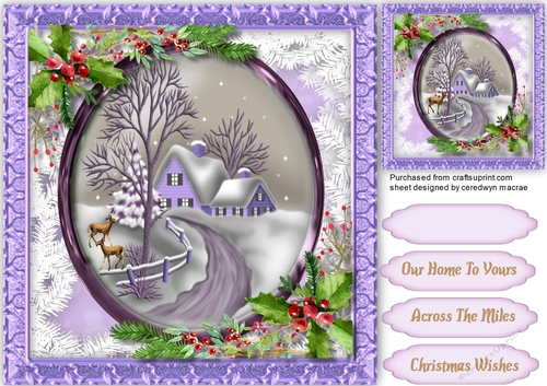 Beautiful Lilac  Christmas House 