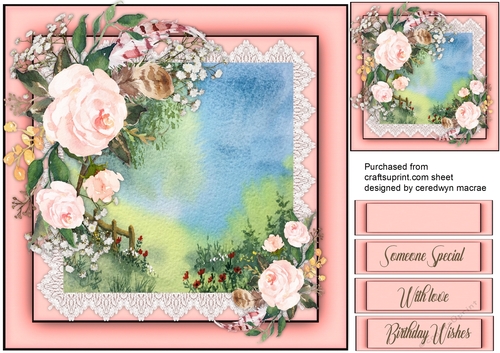 Beautiful Pink roses and Scene 