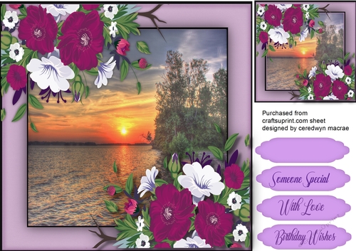Beautiful Sunset and Petunias 