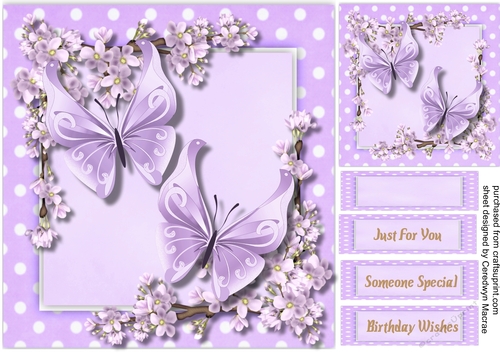 Butterflys and Blossom 1