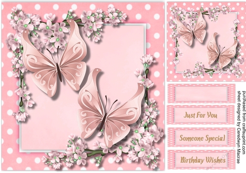Butterflys and Blossom 2