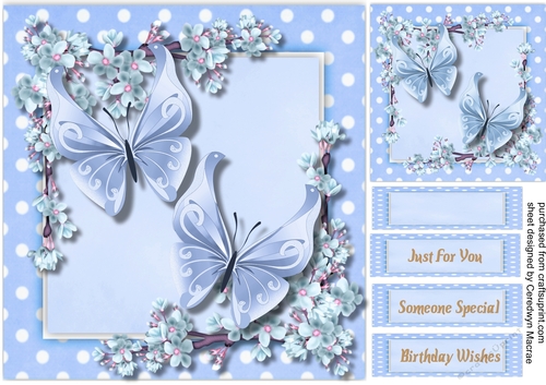 Butterflys and Blossom 3