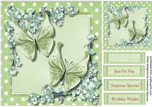Butterflys and Blossom 4