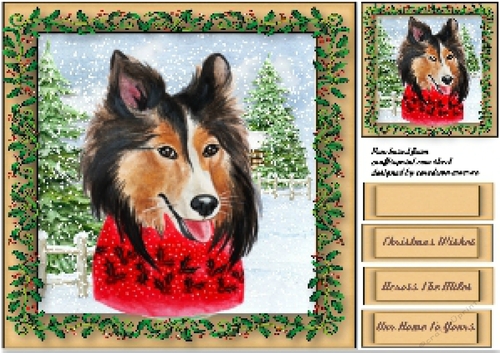 Collies Christmas Jumper