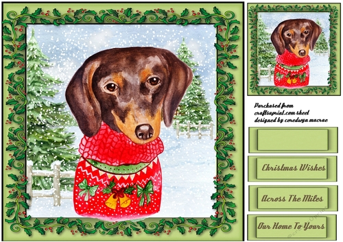Dashounds  Christmas Jumper
