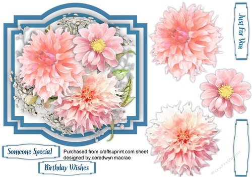 Beautiful Dahlias on a Shaped Mat 