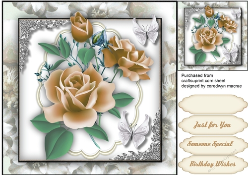 Cream Roses and Silver Corners