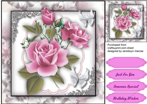 Lilac Roses and Silver Corners