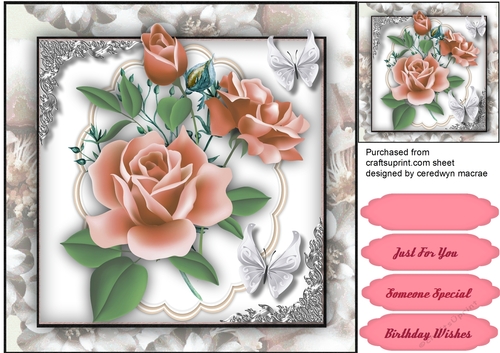 Pink Roses and Silver Corners