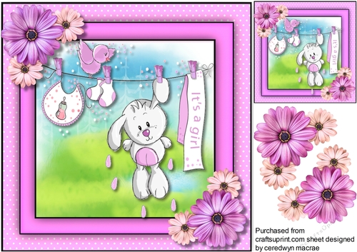 Its A Girl 2