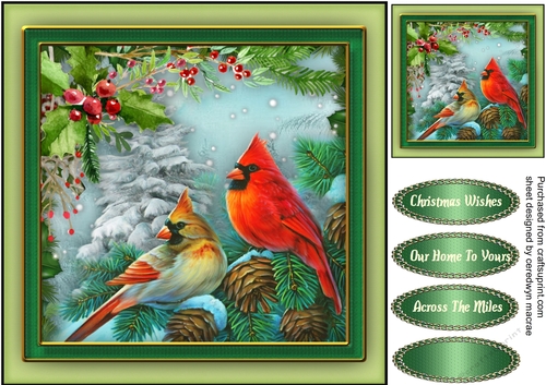 Holly and Christmas Cardinels 