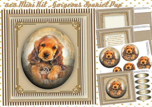 8x8 mini kit , Gorgeous Spaniel Pup , Pyramid 
