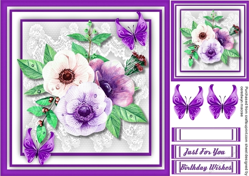 Beautiful Anemones and Butterflys 