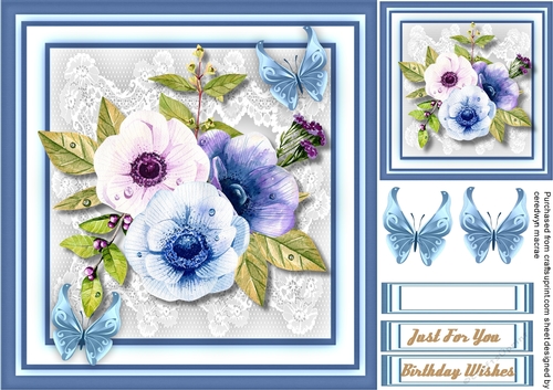 Beautiful Anemones and Butterflys 