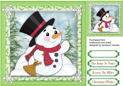 Snowman in the Snow