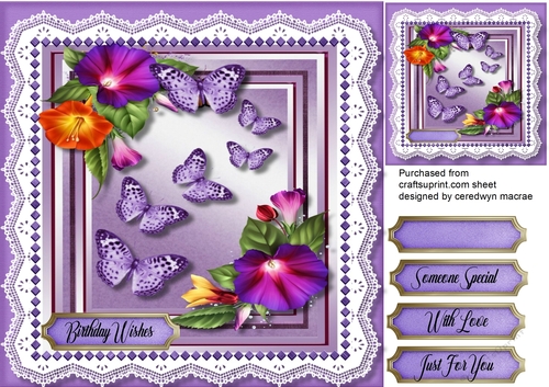 Butterflys and Petunias 