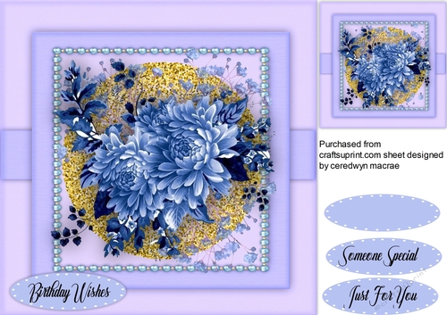 Beautiful Blue Chrysanthymumns 